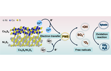 Interface engineering of Co9S8/Ni3S2 heterojunction with robust stability for boosting peroxymonosulfate activation 2025.100771